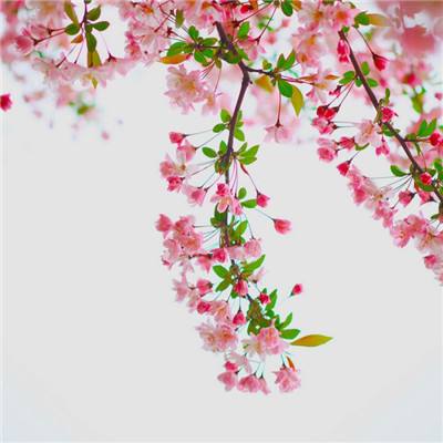 安博体育最新登录地址截图